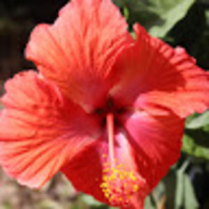 Meet your Posher, Joanne